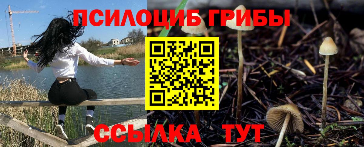 Псилоцибиновые грибы Psilocybine cubensis  Вход с VPN  Краснознаменск 